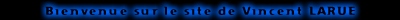 Bienvenue sur le site de Vincent LARUE