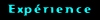 Exprience