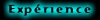 Exprience